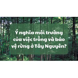 Ý nghĩa môi trường của việc trồng và bảo vệ rừng ở Tây Nguyên?