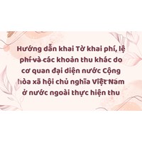 Hướng dẫn khai Tờ khai phí, lệ phí và các khoản thu khác do cơ quan đại diện nước Cộng hòa xã hội chủ nghĩa Việt Nam ở nước ngoài thực hiện thu