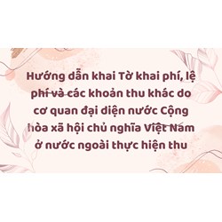 Hướng dẫn khai Tờ khai phí, lệ phí và các khoản thu khác do cơ quan đại diện nước Cộng hòa xã hội chủ nghĩa Việt Nam ở nước ngoài thực hiện thu