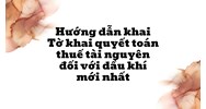 Hướng dẫn khai Tờ khai quyết toán thuế tài nguyên đối với dầu khí mới nhất