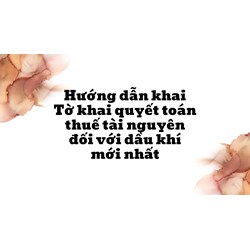 Hướng dẫn khai Tờ khai quyết toán thuế tài nguyên đối với dầu khí mới nhất