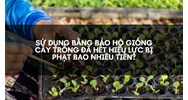 Sử dụng Bằng bảo hộ giống cây trồng đã hết hiệu lực bị phạt bao nhiêu tiền?