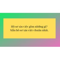 Hồ sơ xin việc gồm những gì? Mẫu hồ sơ xin việc chuẩn nhất