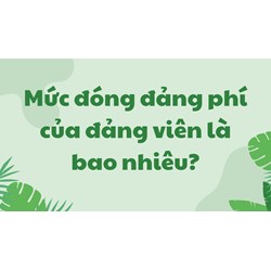 Mức đóng đảng phí của đảng viên hiện nay là bao nhiêu?