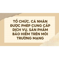 Tổ chức, cá nhân được phép cung cấp dịch vụ, sản phẩm bảo hiểm trên môi trường mạng