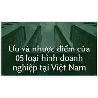 Ưu và nhược điểm của 05 loại hình doanh nghiệp tại Việt Nam