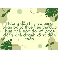 Hướng dẫn Phụ lục bảng phân bổ số thuế tiêu thụ đặc biệt phải nộp đối với hoạt động kinh doanh xổ số điện toán