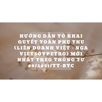 Hướng dẫn Tờ khai quyết toán phụ thu (Liên doanh Việt - Nga Vietsovpetro) mới nhất theo thông tư 80/2021/TT-BTC