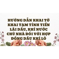 Hướng dẫn khai Tờ khai tạm tính tiền lãi dầu, khí nước chủ nhà đối với Hợp đồng dầu khí Lô