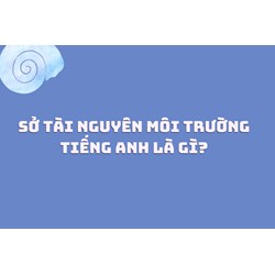 Sở Tài nguyên môi trường tiếng Anh là gì?