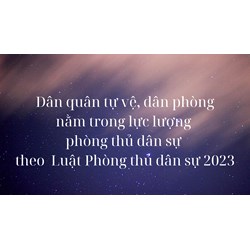 Dân quân tự vệ, dân phòng nằm trong lực lượng phòng thủ dân sự gồm?