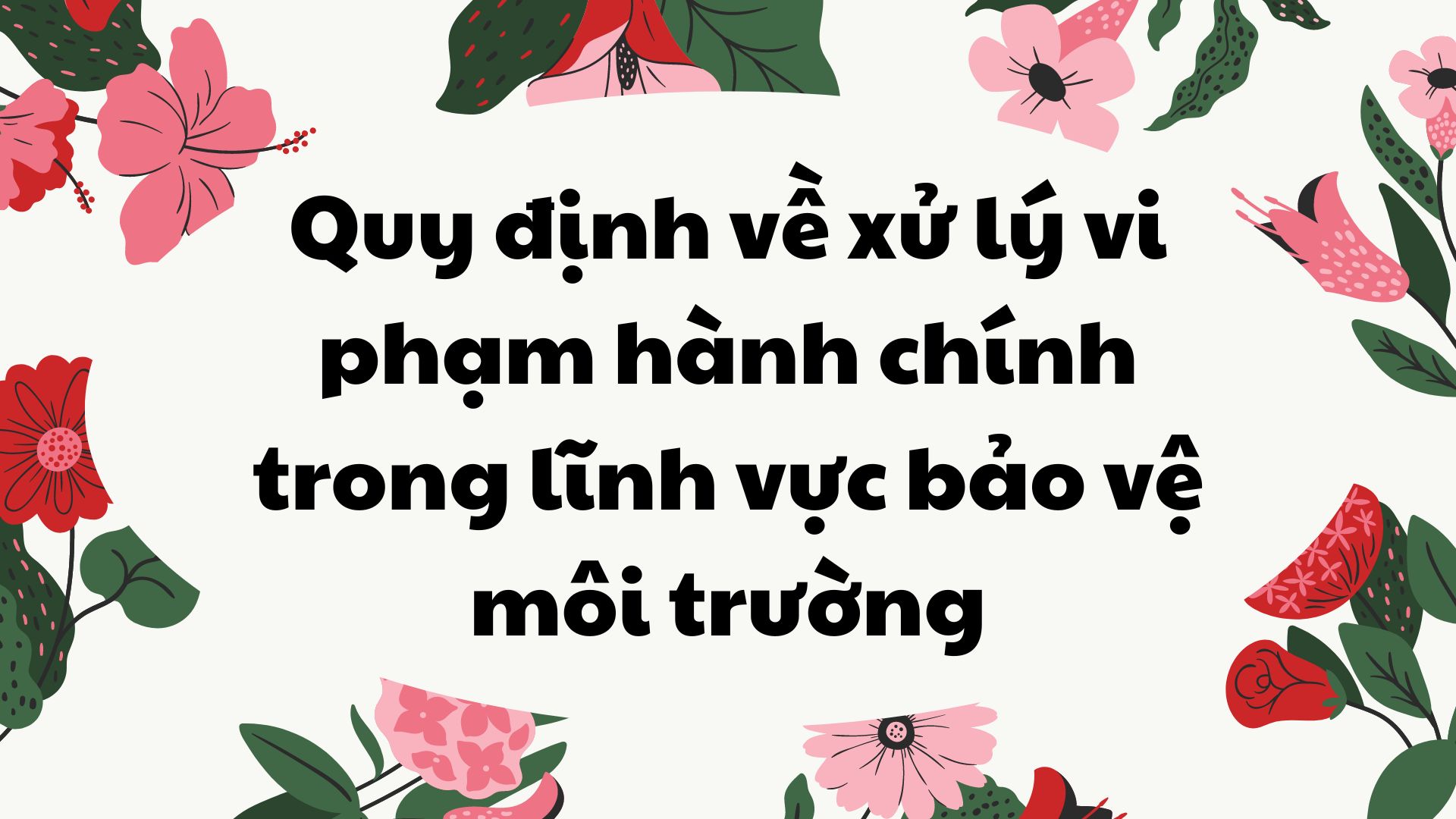 Quy định về xử lý vi phạm hành chính trong lĩnh vực bảo vệ môi trường