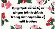 Quy định về xử lý vi phạm hành chính trong lĩnh vực bảo vệ môi trường