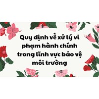Quy định về xử lý vi phạm hành chính trong lĩnh vực bảo vệ môi trường