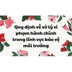 Quy định về xử lý vi phạm hành chính trong lĩnh vực bảo vệ môi trường