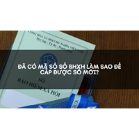 Đã có mã số sổ BHXH làm sao để cấp được sổ mới?