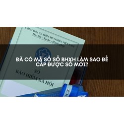 Đã có mã số sổ BHXH làm sao để cấp được sổ mới?