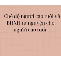 Chế độ người cao tuổi và BHXH tự nguyện cho người cao tuổi