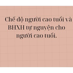 Chế độ người cao tuổi và BHXH tự nguyện cho người cao tuổi