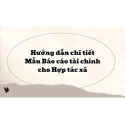 Hướng dẫn chi tiết Mẫu Báo cáo tài chính cho Hợp tác xã