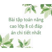 Bài tập toán nâng cao lớp 8 có đáp án chi tiết nhất