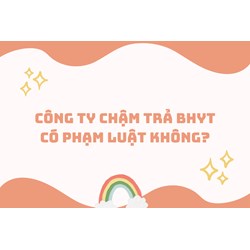 Công ty chậm trả BHYT có phạm luật không?