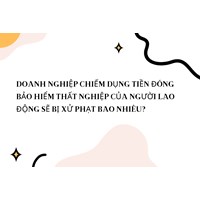 Doanh nghiệp chiếm dụng tiền đóng bảo hiểm thất nghiệp của người lao động sẽ bị xử phạt bao nhiêu?