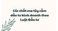 Các chất ma túy cấm đầu tư kinh doanh theo Luật Đầu tư 2020
