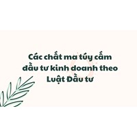 Các chất ma túy cấm đầu tư kinh doanh theo Luật Đầu tư 2020