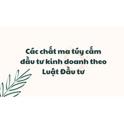 Các chất ma túy cấm đầu tư kinh doanh theo Luật Đầu tư 2020