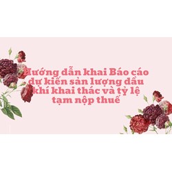 Hướng dẫn khai Báo cáo dự kiến sản lượng dầu khí khai thác và tỷ lệ tạm nộp thuế