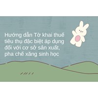 Hướng dẫn Tờ khai thuế tiêu thụ đặc biệt áp dụng đối với cơ sở sản xuất, pha chế xăng sinh học