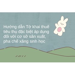 Hướng dẫn Tờ khai thuế tiêu thụ đặc biệt áp dụng đối với cơ sở sản xuất, pha chế xăng sinh học