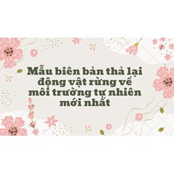 Mẫu biên bản thả lại động vật rừng về môi trường tự nhiên mới nhất