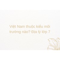 Việt Nam thuộc kiểu môi trường nào? Địa lý lớp 7