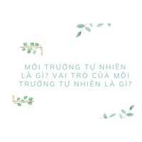 Môi trường tự nhiên là gì? Vai trò của môi trường tự nhiên là gì?