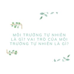Môi trường tự nhiên là gì? Vai trò của môi trường tự nhiên là gì?