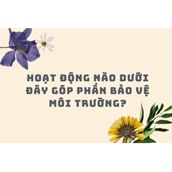 Hoạt động nào dưới đây góp phần bảo vệ môi trường?
