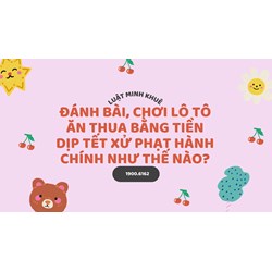 Đánh bài, chơi lô tô ăn thua bằng tiền dịp Tết xử phạt hành chính như thế nào?