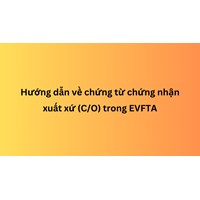 Hướng dẫn về chứng từ chứng nhận xuất xứ (C/O) trong EVFTA