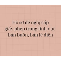 Hồ sơ đề nghị cấp giấy phép trong lĩnh vực bán buôn điện, bán lẻ