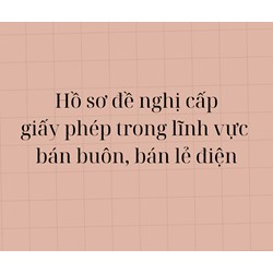 Hồ sơ đề nghị cấp giấy phép trong lĩnh vực bán buôn điện, bán lẻ