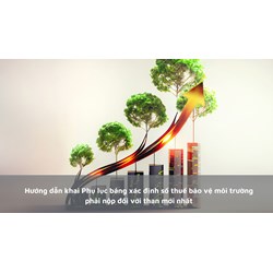 Hướng dẫn khai Phụ lục bảng xác định số thuế bảo vệ môi trường phải nộp đối với than mới nhất