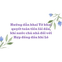 Hướng dẫn khai Tờ khai quyết toán tiền lãi dầu, khí nước chủ nhà đối với Hợp đồng dầu khí Lô
