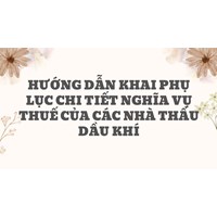 Hướng dẫn khai Phụ lục chi tiết nghĩa vụ thuế của các nhà thầu dầu khí