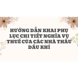Hướng dẫn khai Phụ lục chi tiết nghĩa vụ thuế của các nhà thầu dầu khí