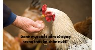 Danh mục chất cấm sử dụng trong thức ăn chăn nuôi