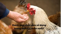 Danh mục chất cấm sử dụng trong thức ăn chăn nuôi