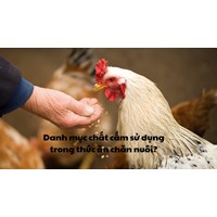 Danh mục chất cấm sử dụng trong thức ăn chăn nuôi