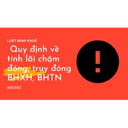Quy định về tính lãi chậm đóng, truy đóng BHXH, BHTN
